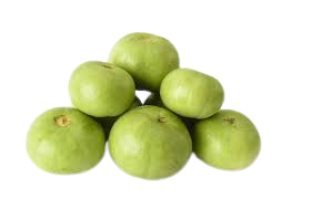 टिण्डा(Tinda)