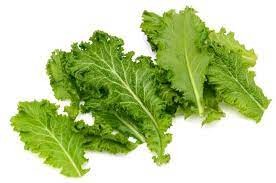 सरसों भाजी 1KG