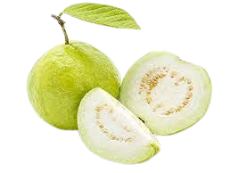 अमरूद(GUVAVA)