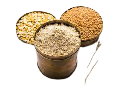 CHANA SATTU SPICY (नमकीन चना सत्तू)