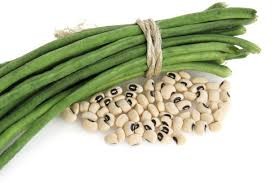 लोबिया(cowpea)